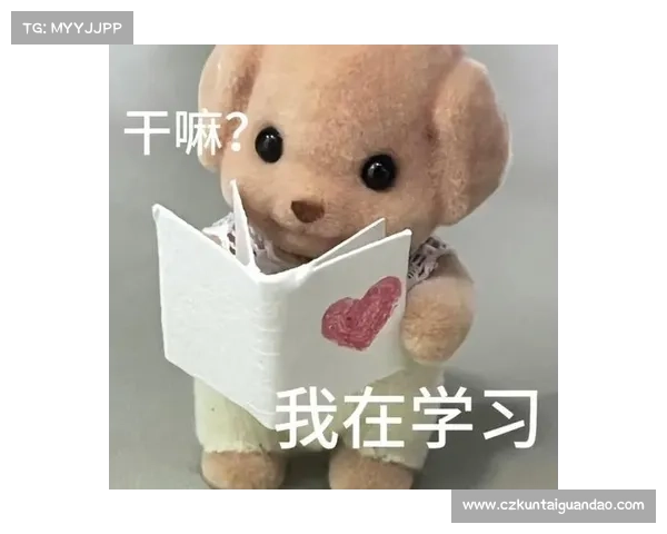 探索森贝儿表情包的秘密武器揭秘 如何用最受欢迎的表情包提升沟通魅力