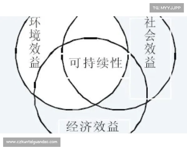 提升足球俱乐部竞争力的财务策略与可持续发展路径分析