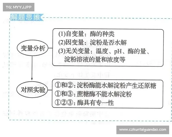 提高足球俱乐部盈利性的七个有效策略与实用方法分析