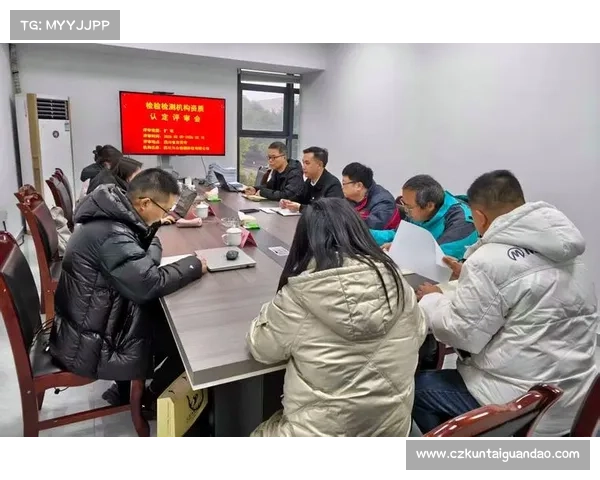 斯坦福桥五大核心组织的角色与发展分析 斯坦福桥五大核心组织的角色与发展分析